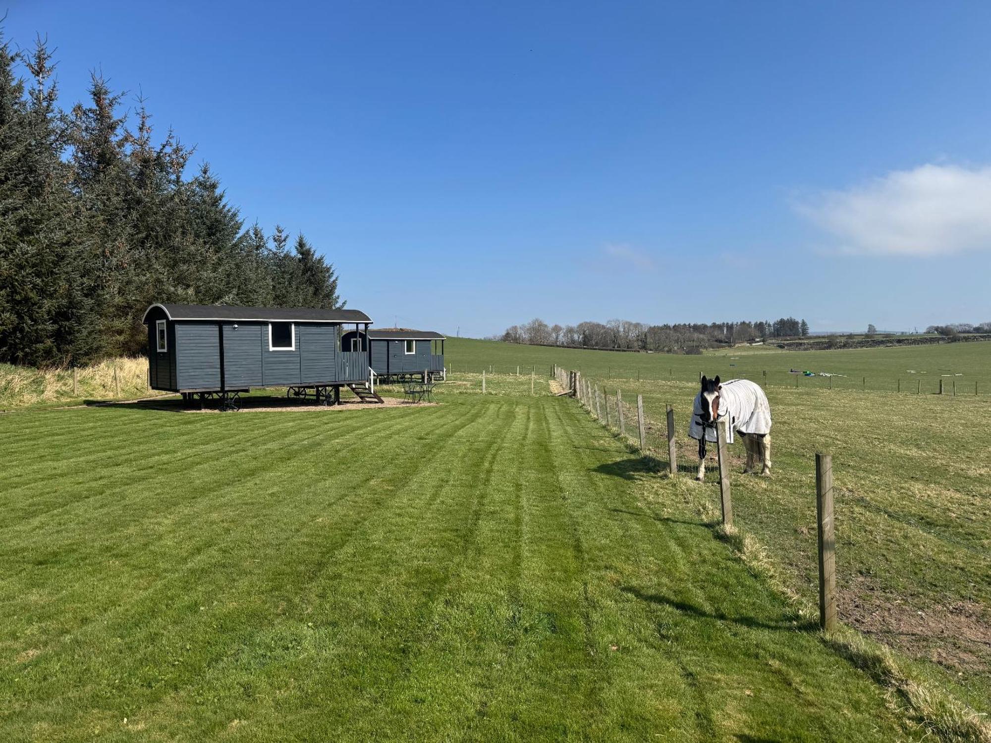 Готель Roslin Glamping Екстер'єр фото